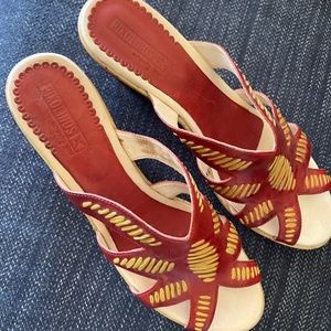 Pickolino slides- CUTE!